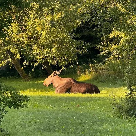 Miedzy Wodami * Węgorzewo